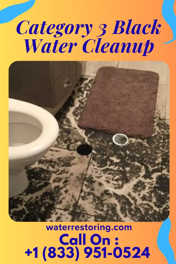 Category 3 Black Water Cleanup in Albany, IN